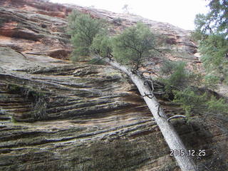 Zion National Park -- view from Zion Lodge