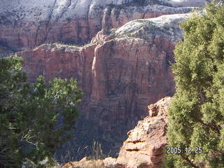 Zion National Park -- Observation Point