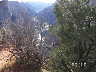 Zion National Park -- Observation Point