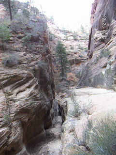 Zion National Park -- Observation Point hike