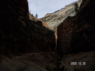 Zion National Park -- Observation Point hike