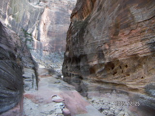 Zion National Park -- Observation Point -- Adam