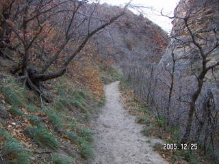 Zion National Park -- Observation Point hike