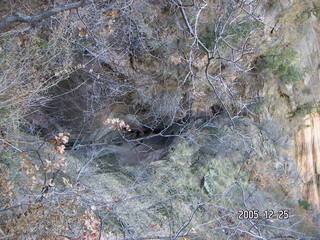 Zion National Park -- Observation Point