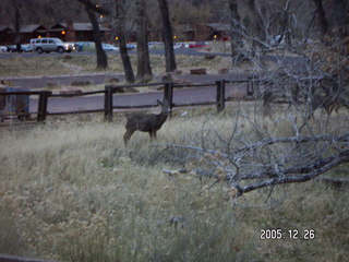 Zion National Park -- Virgin River