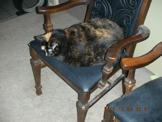 Zion National Park -- Angel's Landing hike -- Adam on top of the rock pile