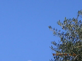 daytime moon picture