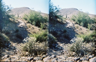 stereo-3D L+R parallel-eye Loreo -- Lost Dog Wash trail