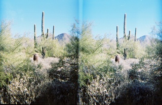 stereo-3D L+R parallel-eye Loreo -- N4372J at Marana