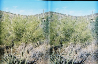 stereo-3D L+R parallel-eye Loreo -- Lost Dog Wash trail