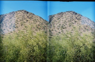 stereo-3D L+R parallel-eye Loreo -- cuckoo clock from the Birds