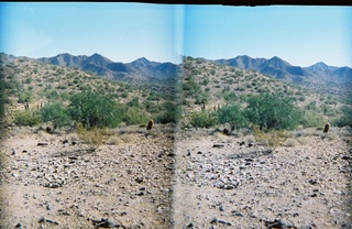 stereo-3D L+R parallel-eye Loreo -- Lost Dog Wash trail