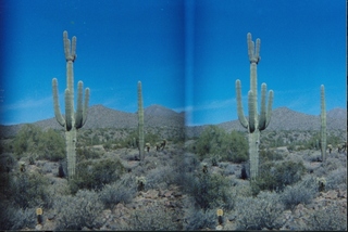 stereo-3D L+R parallel-eye Loreo -- Sonoran desert -- Lost Dog Wash trail