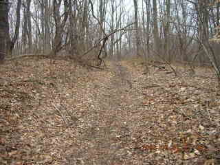 Pennypack Park trail -- morning run