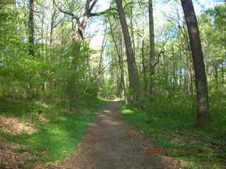 Pennypack Park run