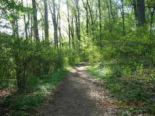 Pennypack Park run