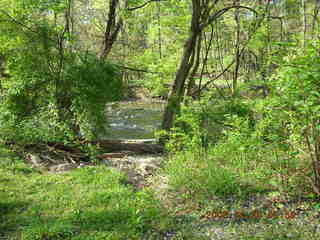 Pennypack Park run