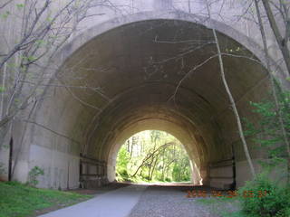 Pennypack Park run