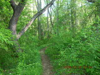 Pennypack Park run