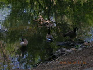 Pennypack Park run