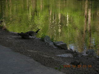 Pennypack Park run