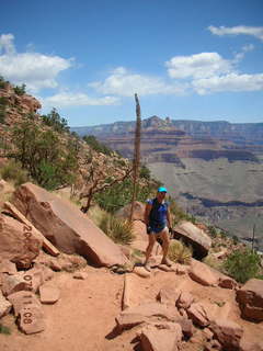 34 5t7. view from South Kaibab trail -- century plant -- Adam