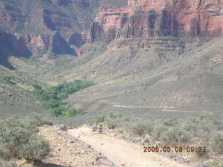 trail to Plateau Point -- Adam running
