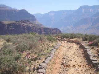 trail to Plateau Point -- Adam running