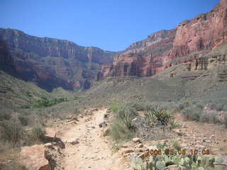 trail from Plateau Point