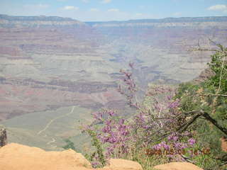 151 5t8. view from Bright Angel trail