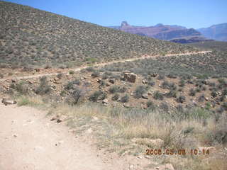 124 5t8. trail from Plateau Point