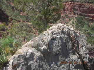 135 5t8. view from Bright Angel trail