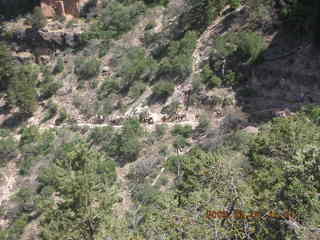178 5t8. view from Bright Angel trail