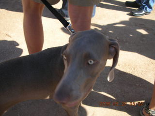 Lost Dog Wash trailhead ceremony