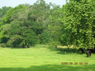 meadow in Lorimar Park