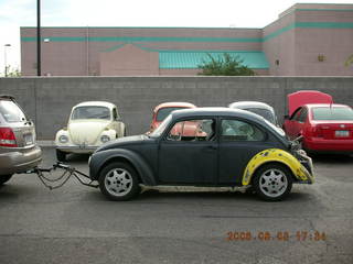 Volkswagon beetles at Doug's Bugs and Bunnies