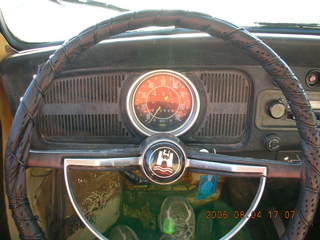 Volkswagon beetles at Doug's Bugs and Bunnies