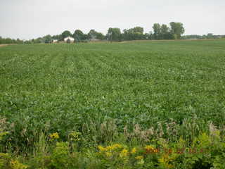 Minnesota trip - Afton run