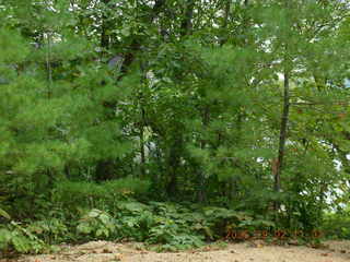 Minnesota trip - Afton run