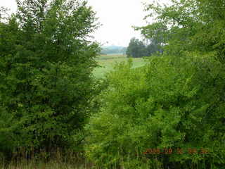 Minnesota trip - Afton run - cows