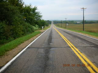Minnesota trip - Afton run - cows