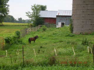 Minnesota trip - Afton run - strange creature
