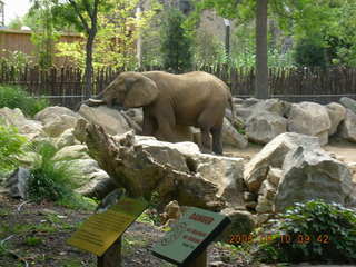 Philadelphia Zoo -- elephant