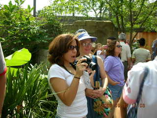 Philadelphia Zoo -- long-snout lemur