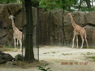 Philadelphia Zoo -- Gaby