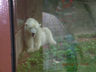 Philadelphia Zoo -- bird house