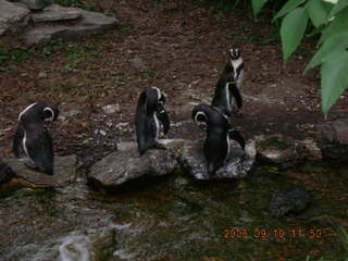 Philadelphia Zoo -- Betsy, Gaby