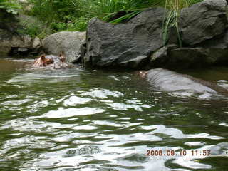 Philadelphia Zoo -- penguins