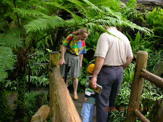 337 5xq. Morris Arboretum -- Betsy, Gaby, Ivan in fern greenhouse