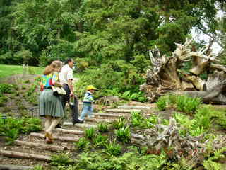 338 5xq. Morris Arboretum -- Betsy, Ivan, Gaby